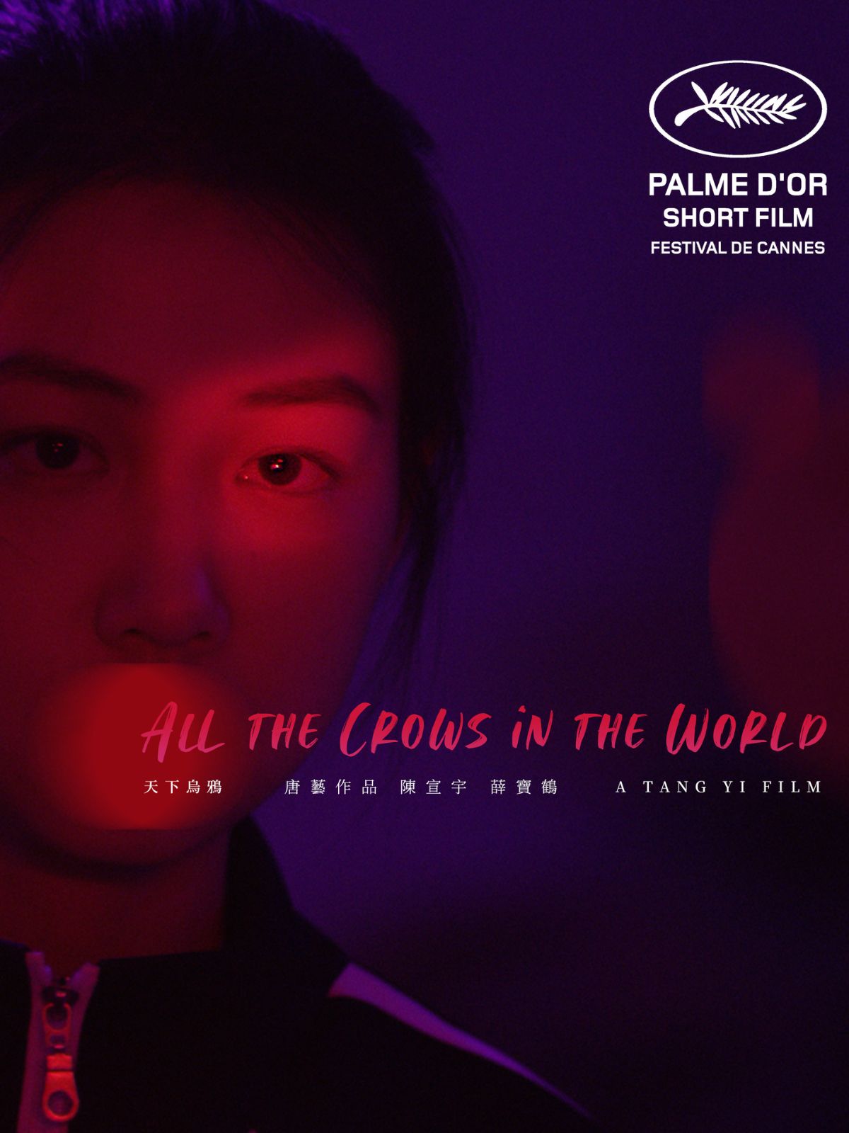 All the Crows in the World